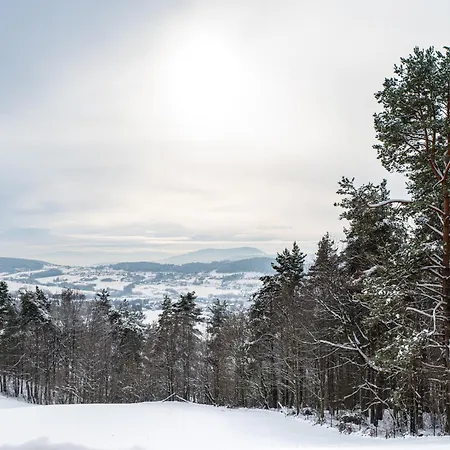 Lysogorska Polana Ferienhaus